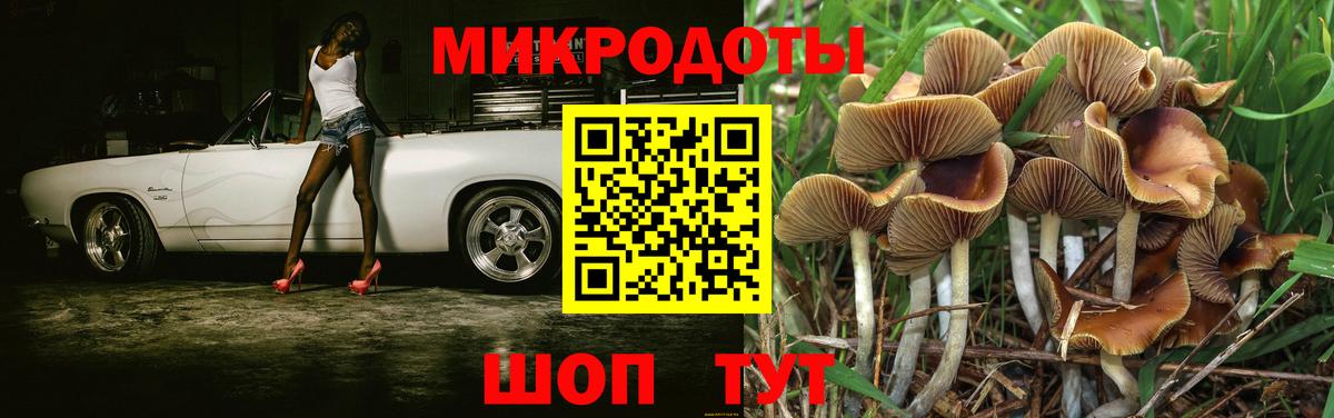 Галлюциногенные грибы Cubensis Старая Купавна